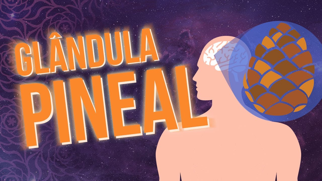 Glândula Pineal – Descubra Seu Terceiro Olho