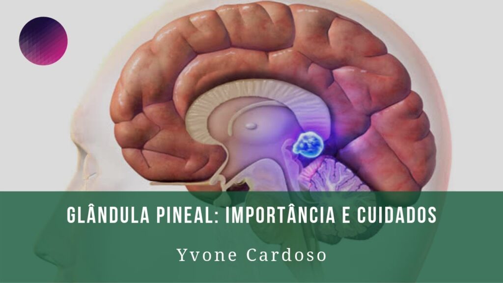 Importância e Cuidados da Glândula Pineal - Ativação do 3º Olho