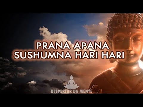 Mantra Prana Apana Sushumna Hari Para Cura Mágica, Equilíbrio e Harmonia