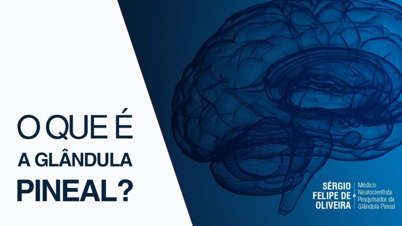 O Que é a Glândula Pineal? – Chakra Frontal